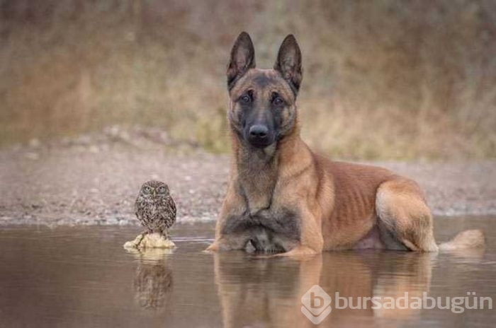 Günün en çok paylaşılan fotoğrafları