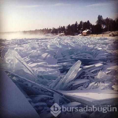 Günün en çok paylaşılan fotoğrafları