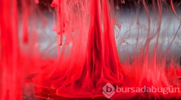 Regl kanıyla fotoğraf yaptı sanat eseri dedi!