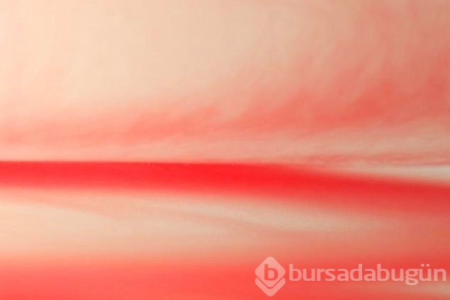 Regl kanıyla fotoğraf yaptı sanat eseri dedi!