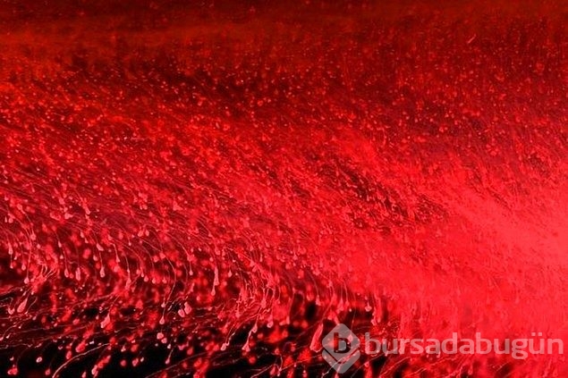 Regl kanıyla fotoğraf yaptı sanat eseri dedi!