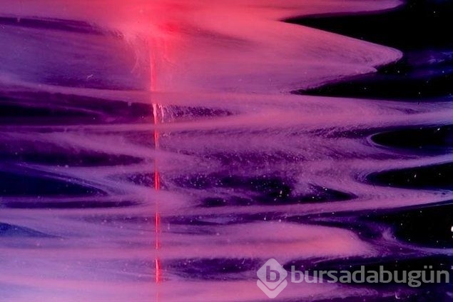 Regl kanıyla fotoğraf yaptı sanat eseri dedi!