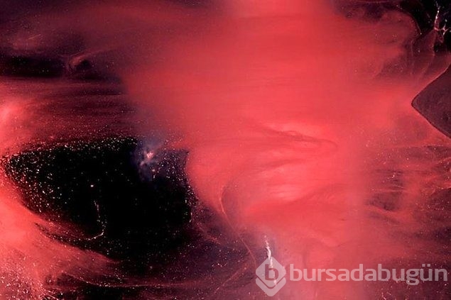 Regl kanıyla fotoğraf yaptı sanat eseri dedi!