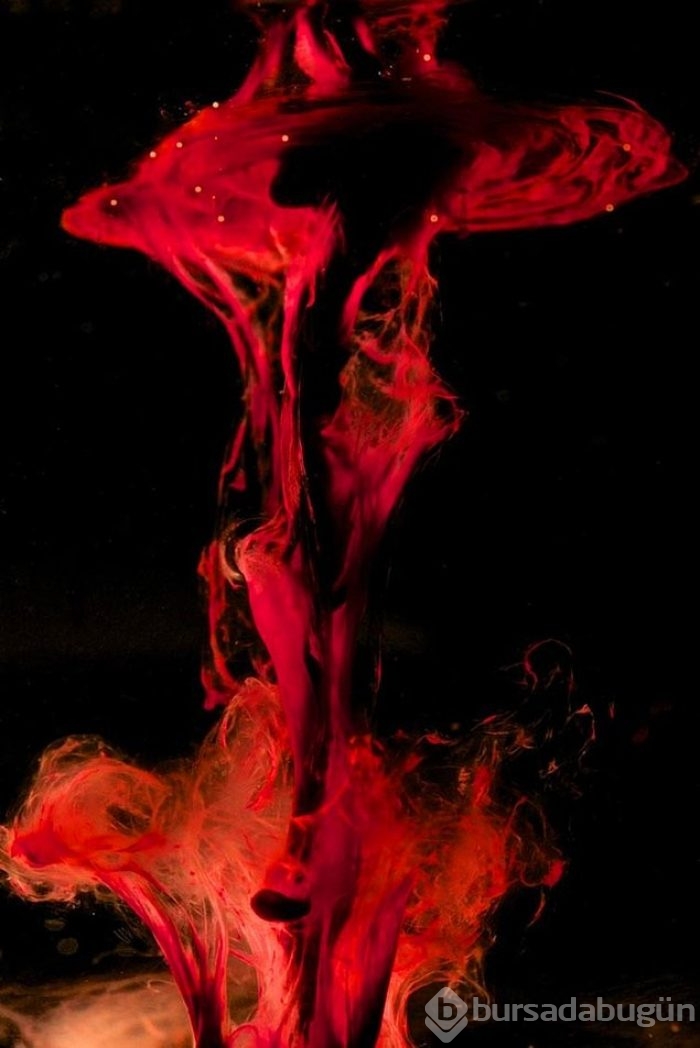 Regl kanıyla fotoğraf yaptı sanat eseri dedi!