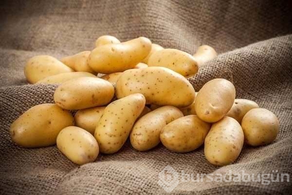 Patates hakkında ilk defa okuyacağınız 20 ilginç bilgi