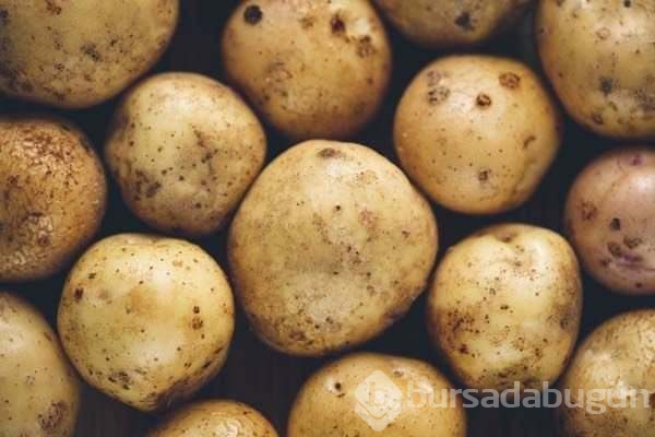 Patates hakkında ilk defa okuyacağınız 20 ilginç bilgi