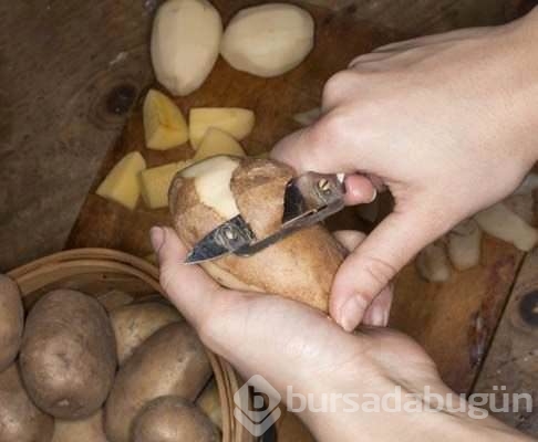 Patates hakkında ilk defa okuyacağınız 20 ilginç bilgi