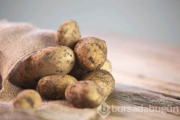 Patates hakkında ilk defa okuyacağınız 20 ilginç bilgi