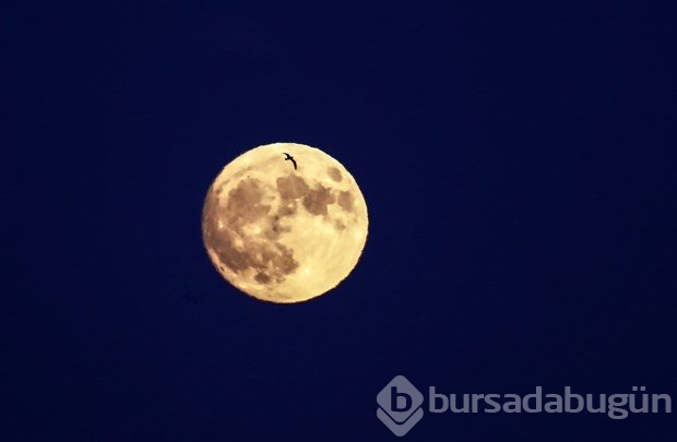 Süper Ay'dan ilk kareler