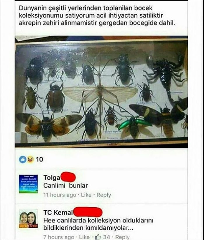 Bu mesajlar güldürüyor!