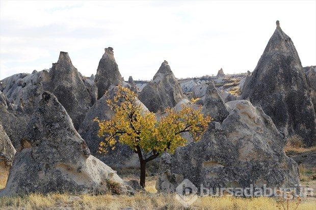 Kapadokya'da sonbahar