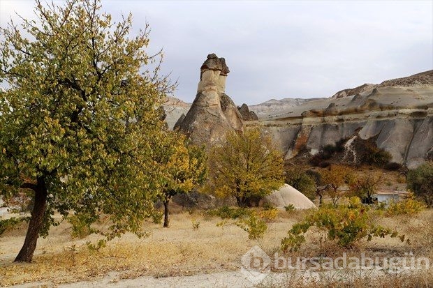 Kapadokya'da sonbahar