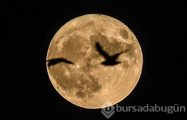 'Süper Ay' dünyayı büyüledi