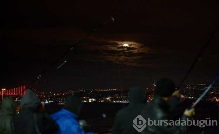 'Süper Ay' dünyayı büyüledi