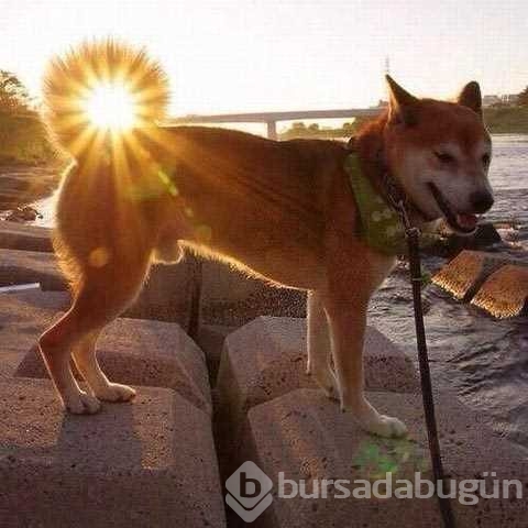 Günün en çok paylaşılan fotoğrafları