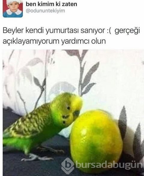 Bu tweetler güldürüyor!