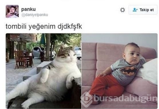 Bu tweetler güldürüyor!