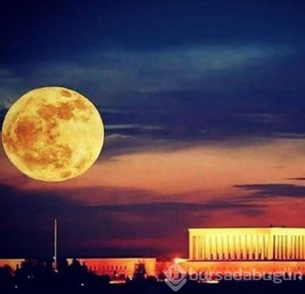 Instagram'da ünlüler 15 Kasım 2016