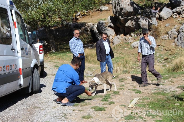 Dağlık alanda ölüme terkedildiler!