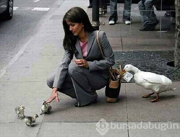 Hangisi gerçek, hangisi yalan?