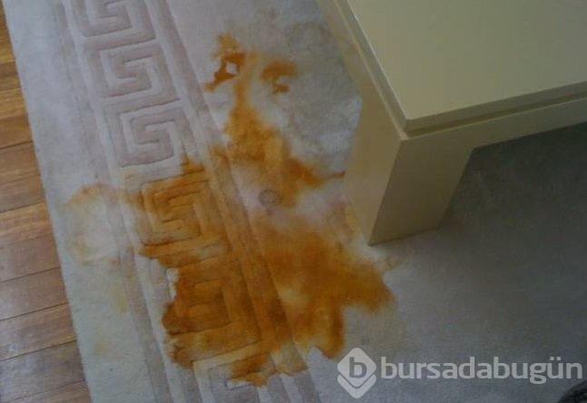 Ev temizliği için pratik bilgiler