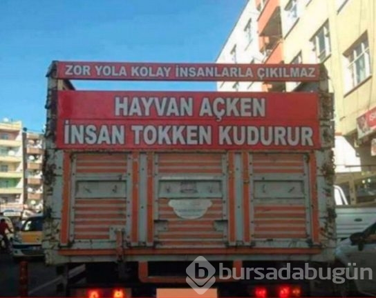 Araçlarına yazdıklarıyla fenomen oldular!