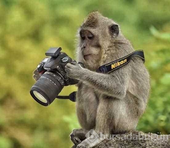 Günün en çok paylaşılan fotoğrafları