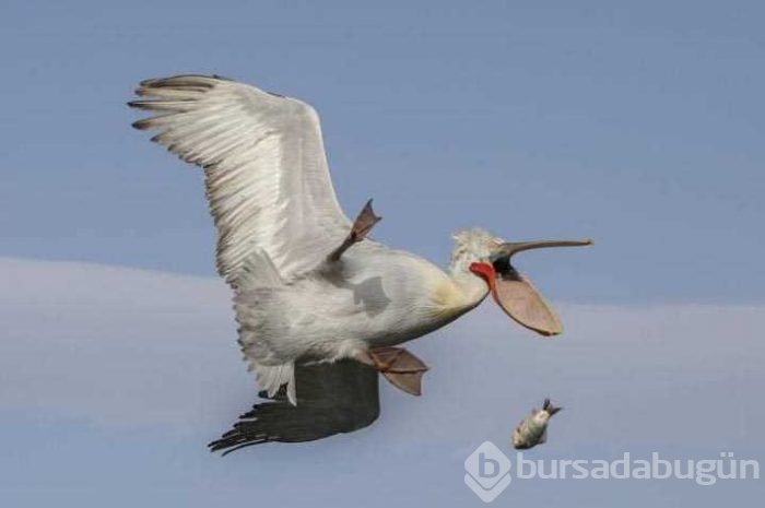 Günün en çok paylaşılan fotoğrafları