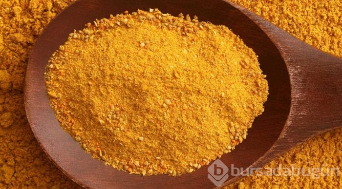 Çinlilerin kutsal taşı Bursa'dan çıktı