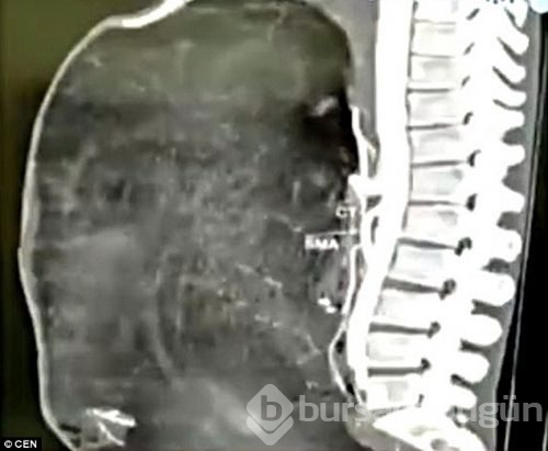 45 yıl boyunca saklandığı yerden çıktı
