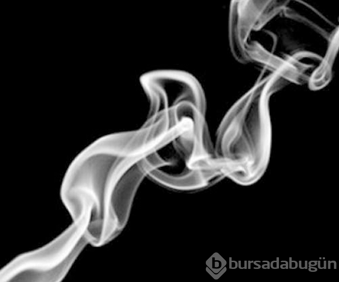 Tek tip sigara dönemi başlıyor