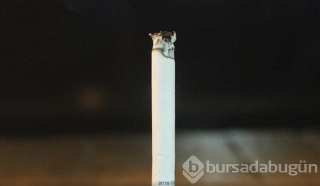 Bu eşyaları tanıyabildiniz mi?