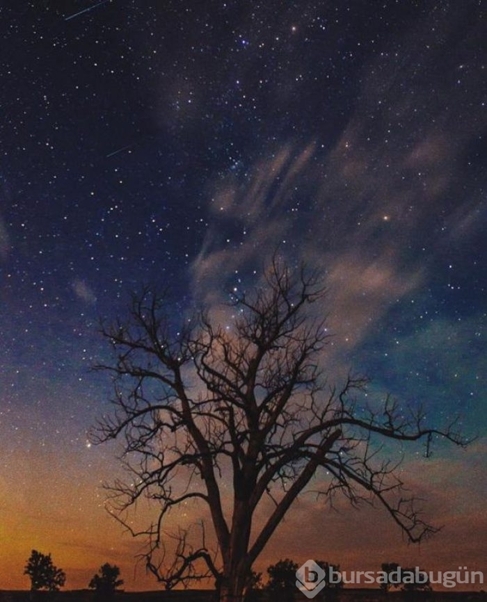 2016'nın en iyi Instagram fotoğrafçıları belli oldu