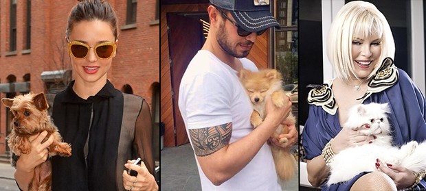 Lady Gaga: Ailemize yeni bir üye katıldı 