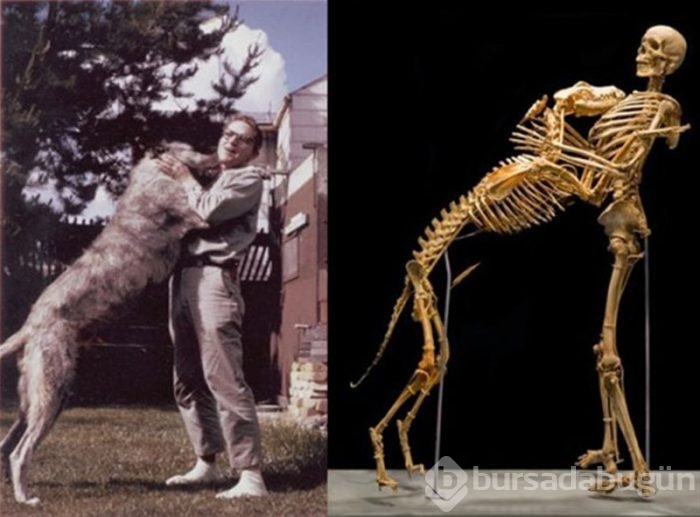 Dünyadan ilginç fotoğraflar