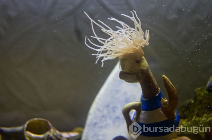 Dünyadan ilginç fotoğraflar