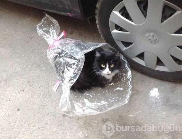 Günün en çok paylaşılan fotoğrafları