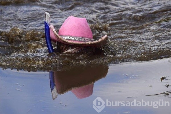 Yılın gariplikleri