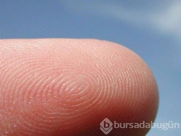 İlk bakışta görülmeyen harika detaylar