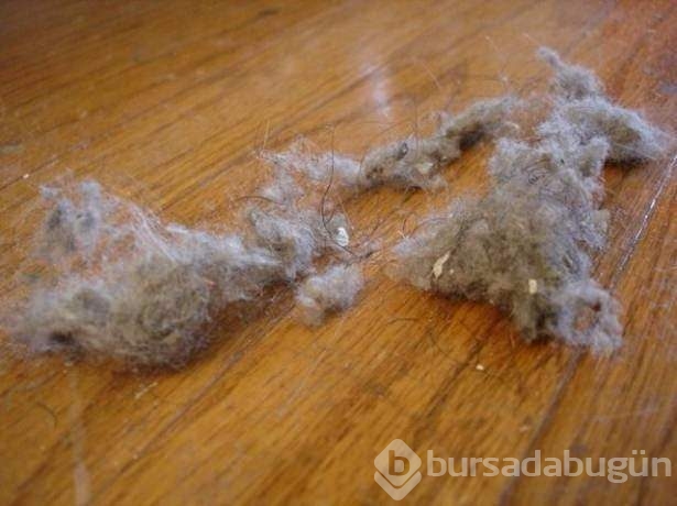İlk bakışta görülmeyen harika detaylar