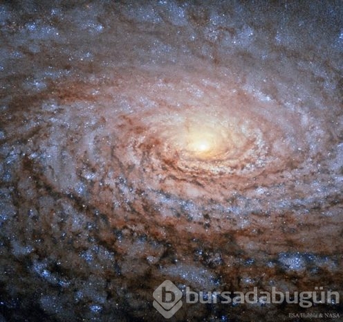 En çok paylaşılan NASA fotoğrafları