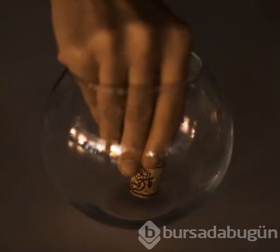 Mantarla bakın neler yaptı
