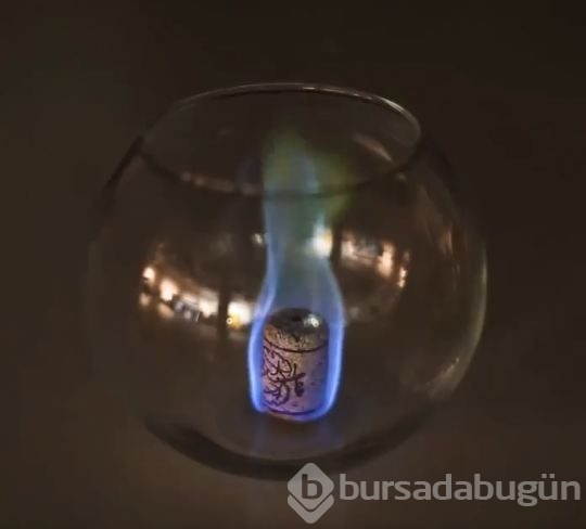 Mantarla bakın neler yaptı
