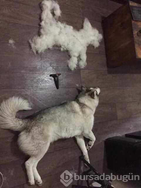 Günün en çok paylaşılan fotoğrafları