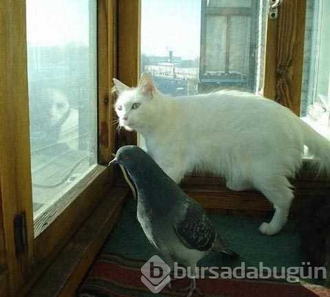 Günün en çok paylaşılan fotoğrafları