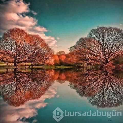 Aklınızı başınızdan alacak optik ilizyonlar