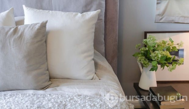 Yatağınızın yanında bulunması gereken 5 bitki