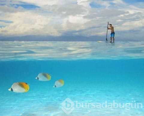 Günün en çok paylaşılan fotoğrafları