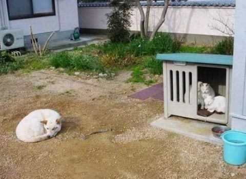 Günün en çok paylaşılan fotoğrafları