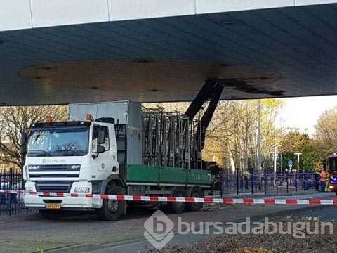 Günün en çok paylaşılan fotoğrafları